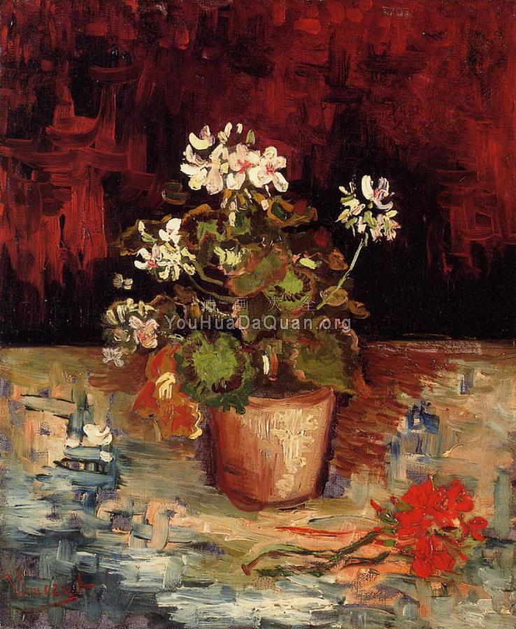 静物，花盆里的天竺葵 - 文森特·威廉·梵高